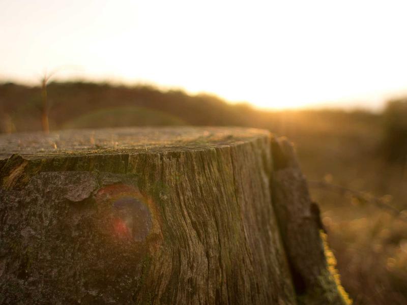 sudoku grid completion